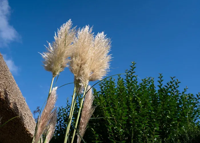 度假居 Haus Hideaway 韦斯特兰